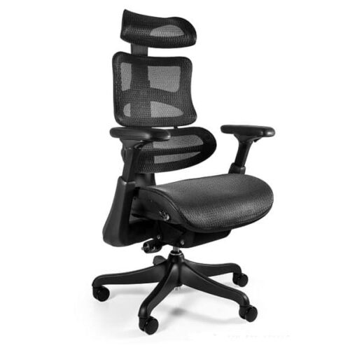 Fotel ergonomiczny ERGOTHRONE