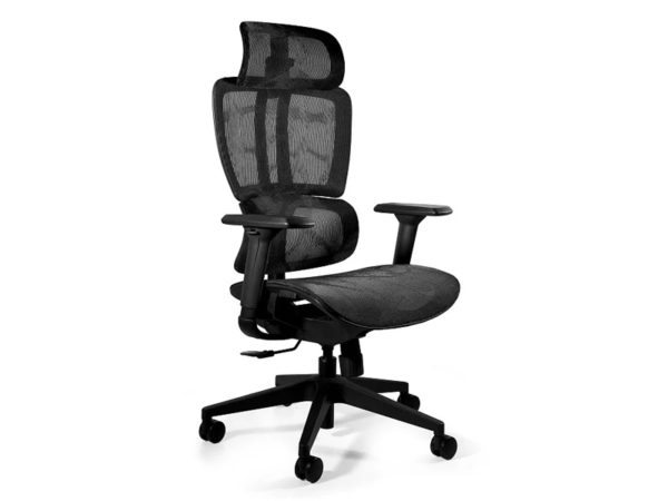 Fotel ergonomiczny DEAL