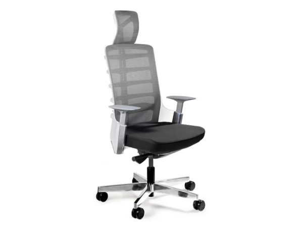 Fotel ergonomiczny SPINELLY